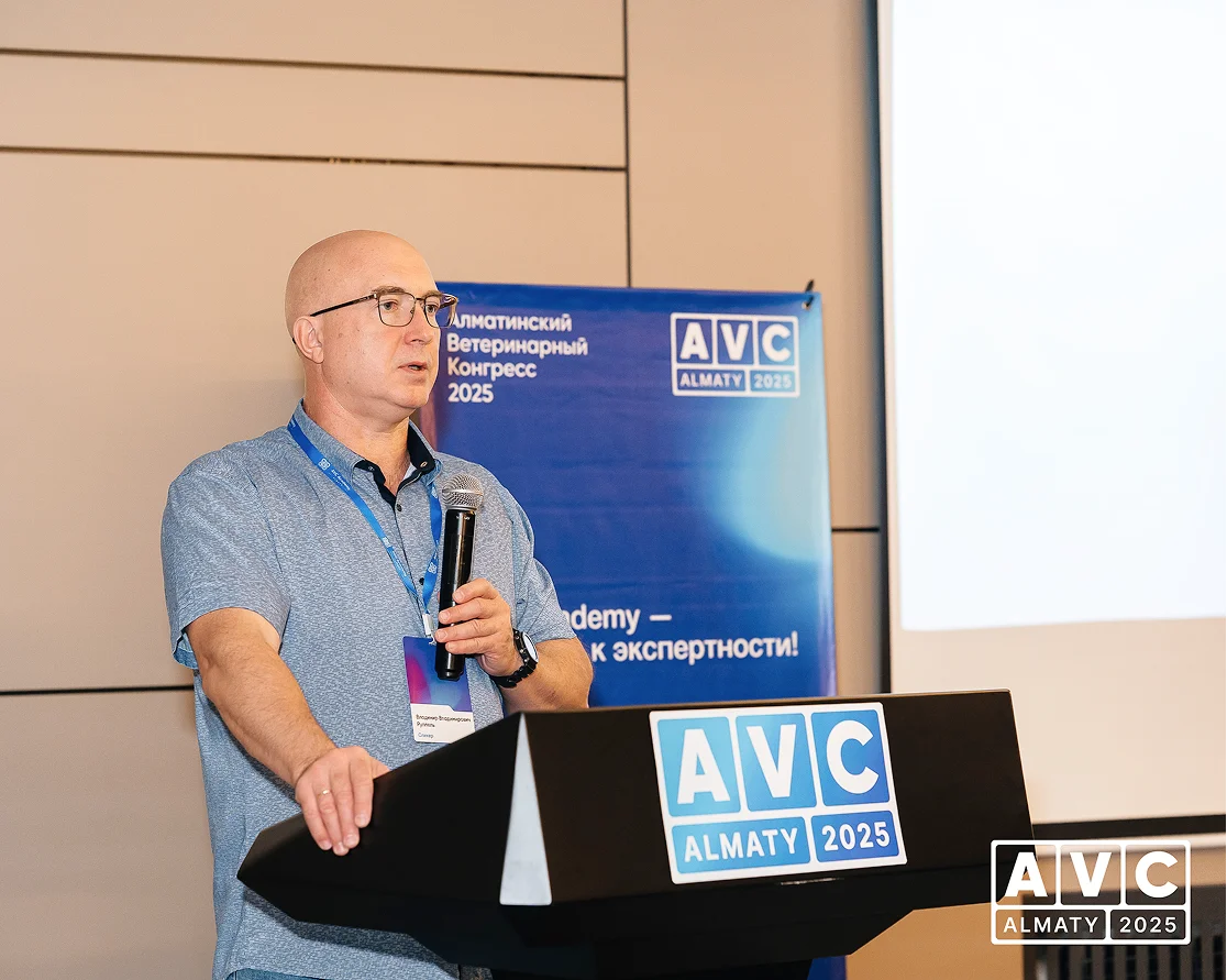 AVC2025