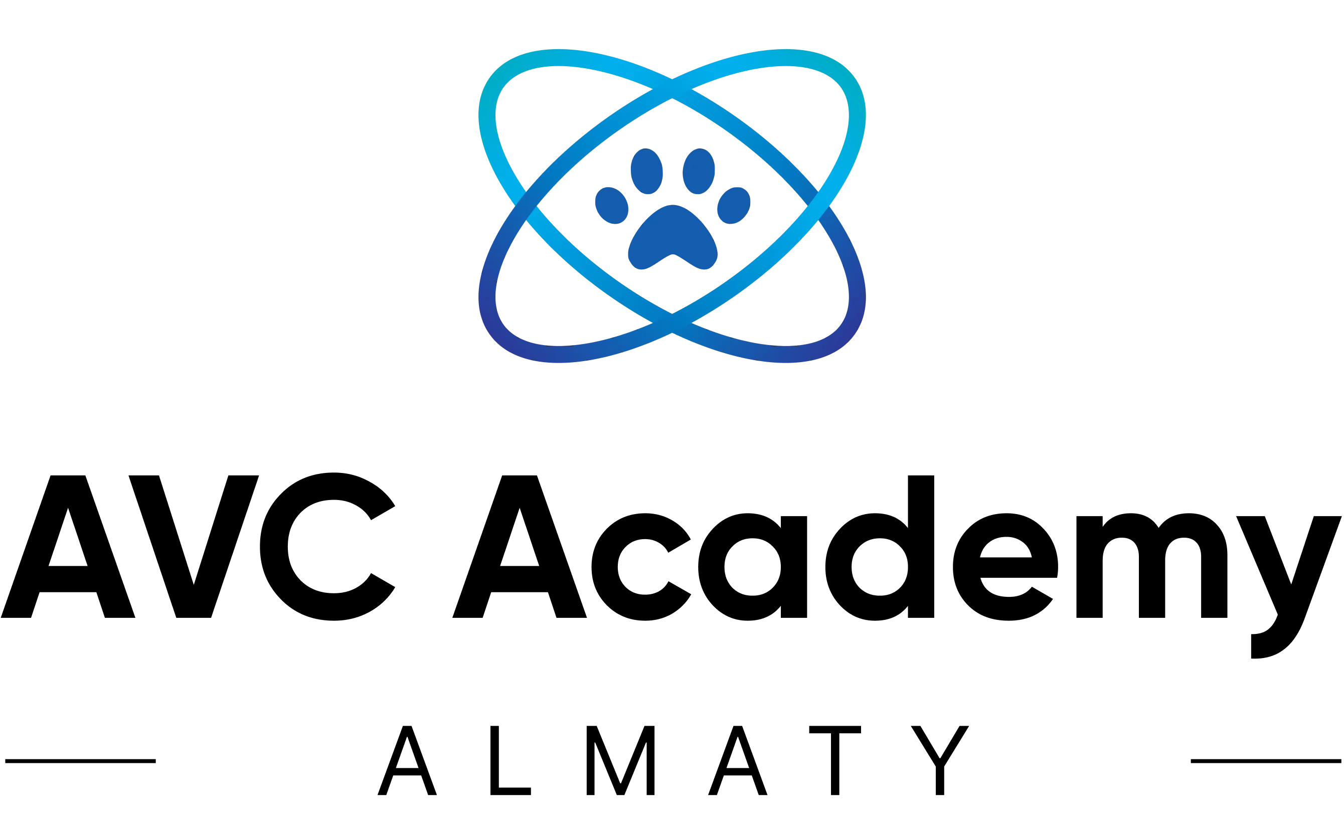 https://avc.academy/storage/app/media/AVC%20Academy