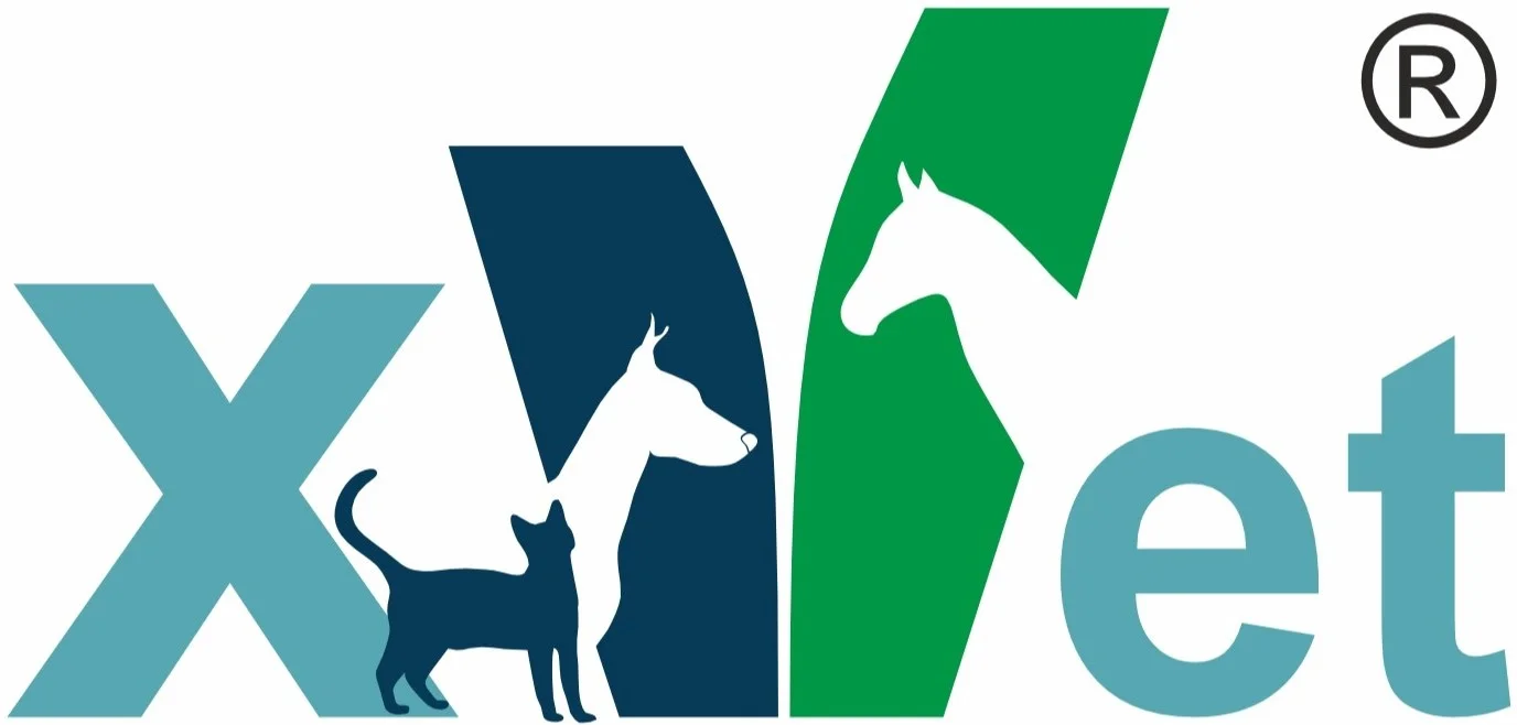 https://avc.academy/storage/app/media/XVet