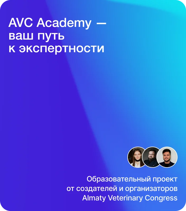 AVC Academy