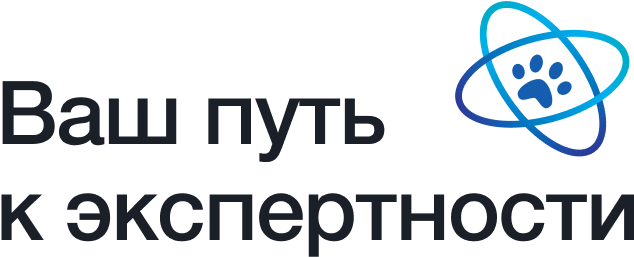 https://avc.academy/themes/msof-rapido/assets/images/avc_footer_top.png