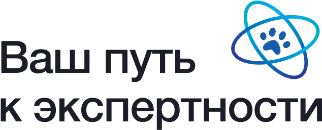 https://avc.academy/themes/msof-rapido/assets/images/avc_footer_top.webp