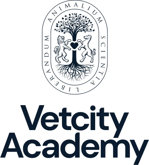 AVC 2026